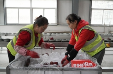 拼多多系统性激发电商就业生态二次繁荣