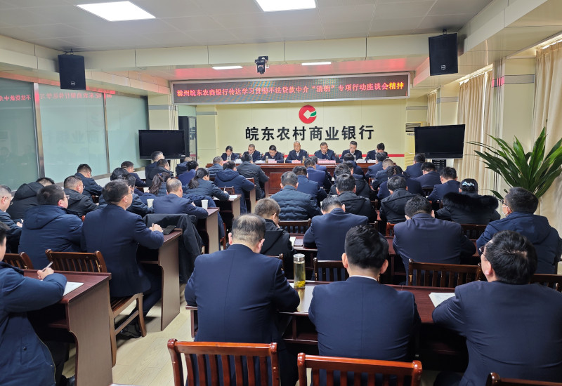 滁州皖东农商银行召开传达学习贯彻不法贷款中介“清朗”专项行动座谈会精神暨当前重点工作部署会议.jpg