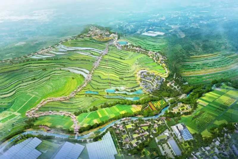 农发行泸州市纳溪区支行：聚焦“三农”主责主业 谱写支农履职新篇章.jpg