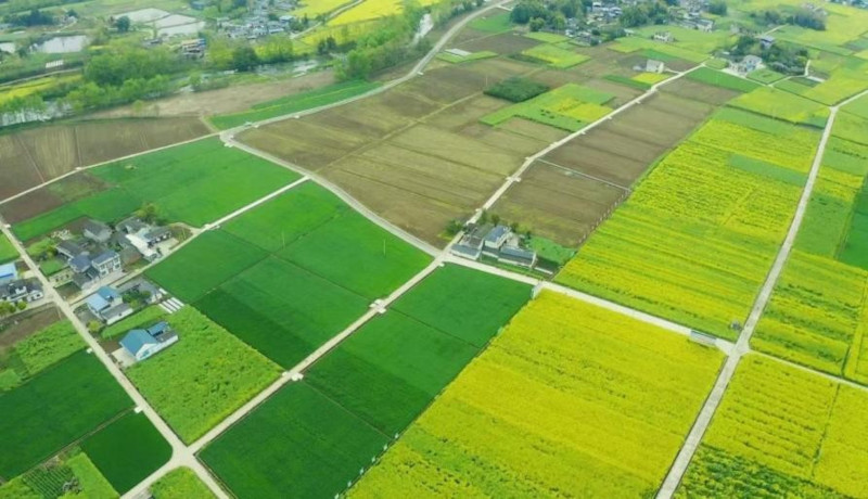 农发行绵阳市安州区支行：深耕“三农”沃土 建设万亩“良田”.jpg