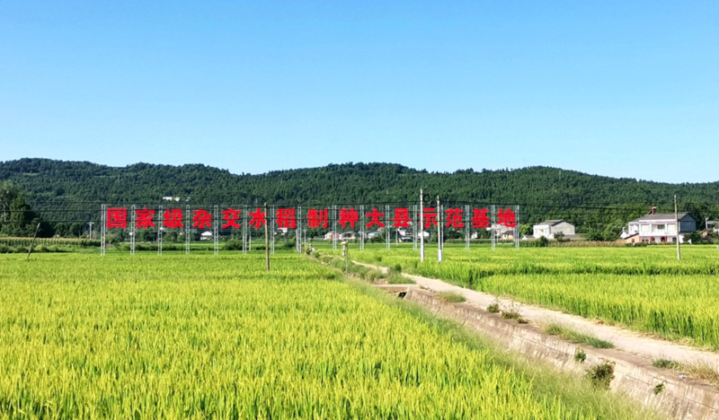 农发行梓潼县支行：金融活水“润”良种 筑牢粮食新“耕”基.jpg