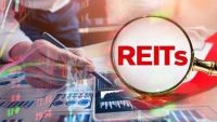 REITs年内平均涨幅超10% 政策驱动扩围扩容