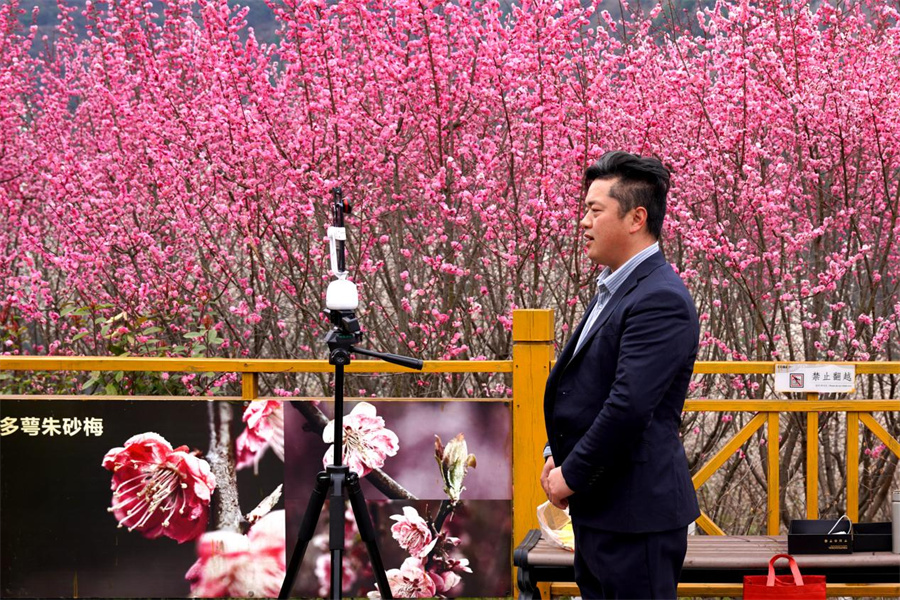 图片3.jpg