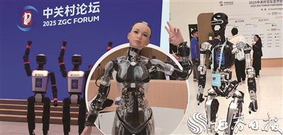 感受人形機器人的“多”與“變”
