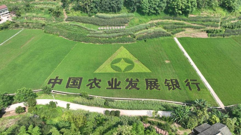 农发行宜宾市分行：贷款规模突破700亿元“农”墨重彩擘画乡村全面振兴新画卷1.jpg