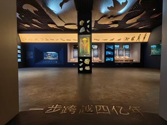 图片7.jpg