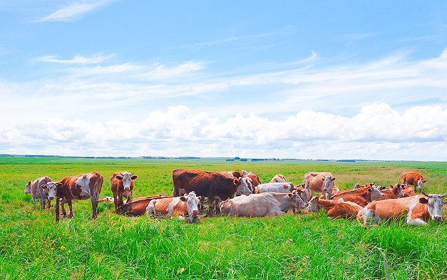 1744008867553632.png 图片1.png