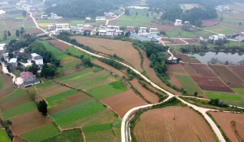 农发行四川绵阳市分行：护航春耕绘“丰”景 服务“三农”助振兴.jpg