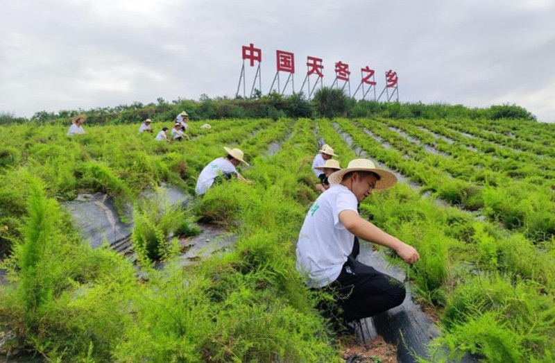 心系“三农”建新功 农发行四川内江市分行本级贷款余额突破80亿元.jpg