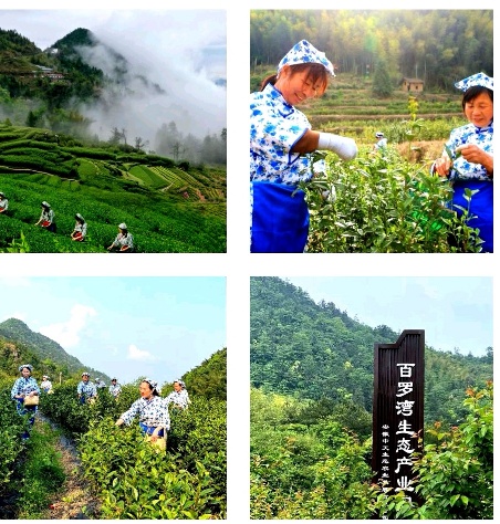 Screenshot_20250423_020040_com.lanjingren.ivwen_edit_934637416064154.jpg