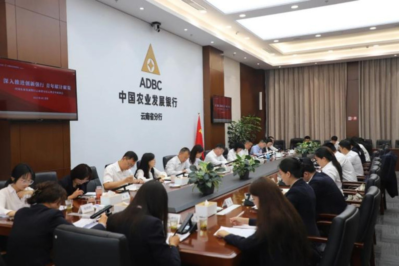 农发行云南省分行召开五四青年座谈会.jpg