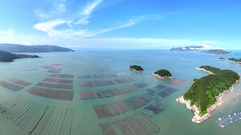 福建霞浦：海洋牧场养殖作业