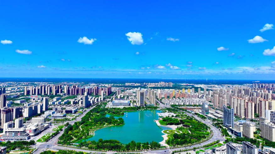 解码文化自信的城市样本丨药脉文心拓新章——解码药都亳州的文化自信样本