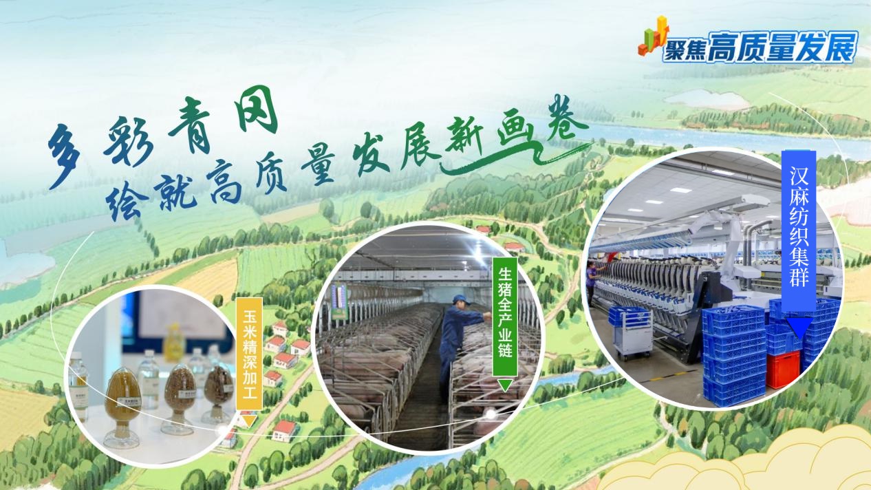 聚焦高质量发展丨多彩青冈 绘就高质量发展新画卷