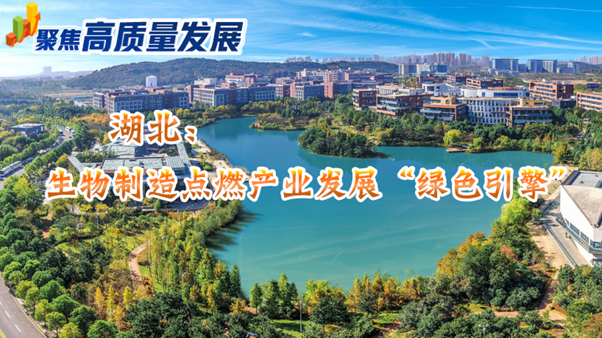 聚焦高质量发展丨湖北：生物制造点燃产业发展“绿色引擎”
