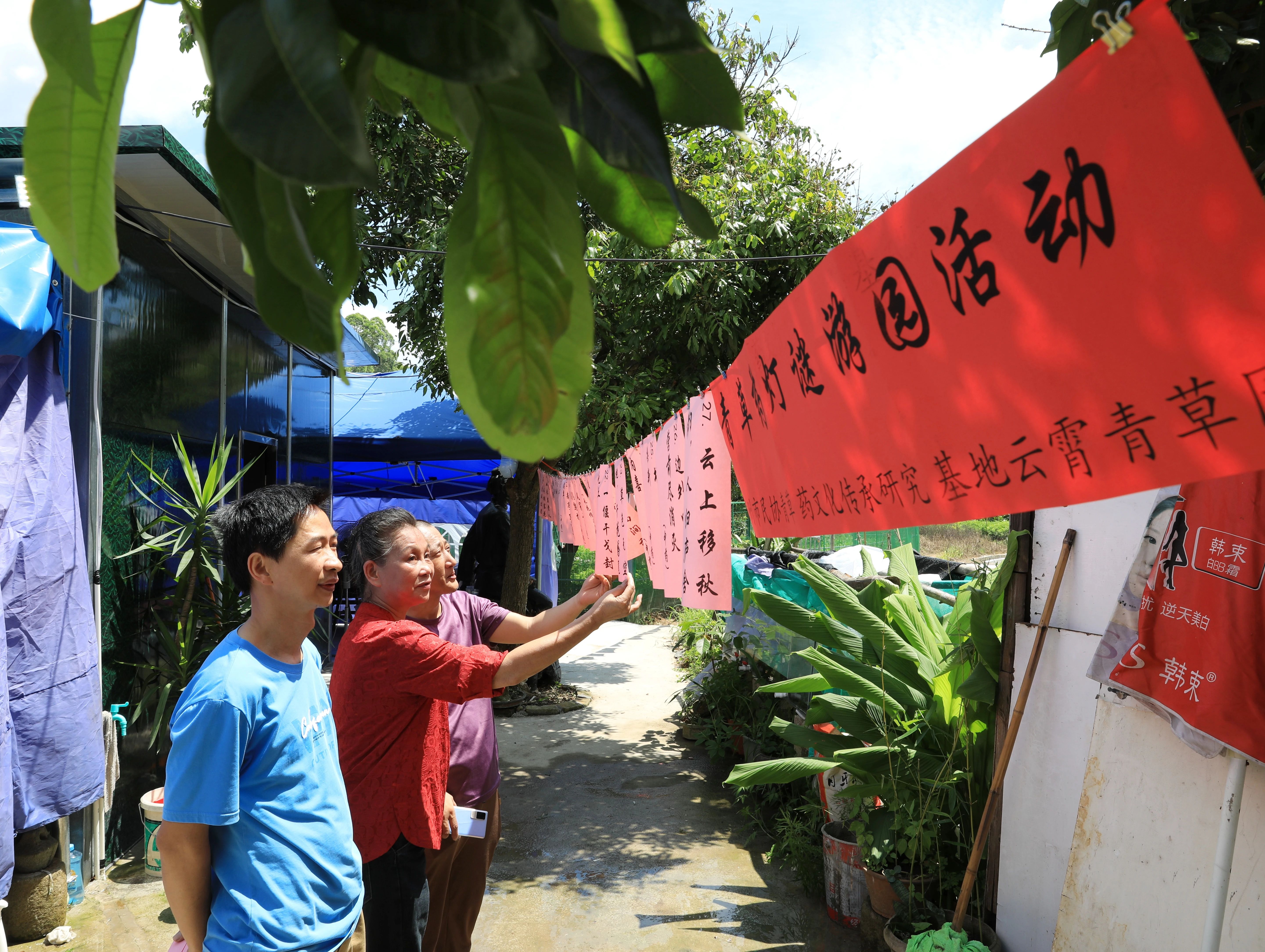 千年草新绿 青香漫云霄——闽南青草药文化传承主题活动成功举办.jpg