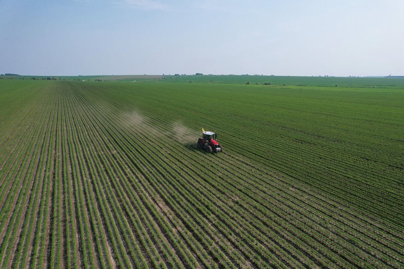 DJI_0157_副本.JPG
