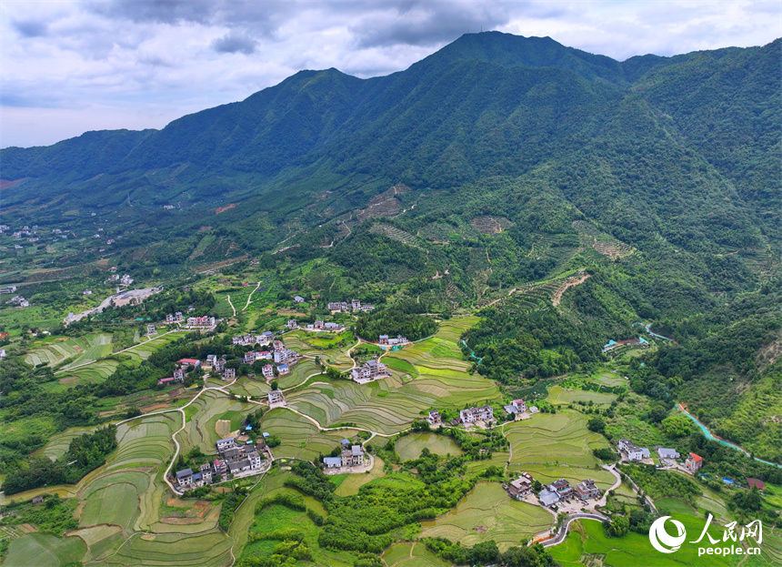 赣州市崇义县铅厂镇稳下村，蓄水翻耕插秧后的梯田与山林、房舍相映成景，呈现出一幅绿意盎然的生态乡村画卷。人民网 朱海鹏摄