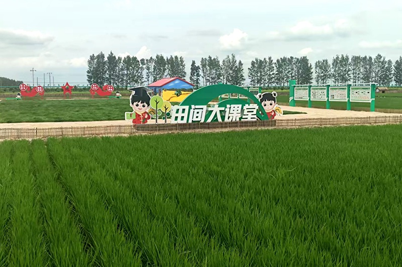 庆丰农场第五管理区乡村振兴产业园掠影--朱磊摄.jpg
