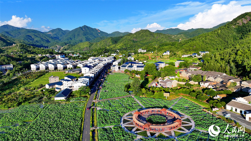 赣州市石城县琴江镇大畲村，错落分布的农房与莲田、山峦、旅游公路相映成景，构成一幅绿意盎然、和美宜居的山乡画卷。人民网 朱海鹏摄