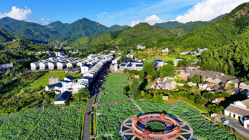 江西石城：产业助振兴 莲乡展新颜