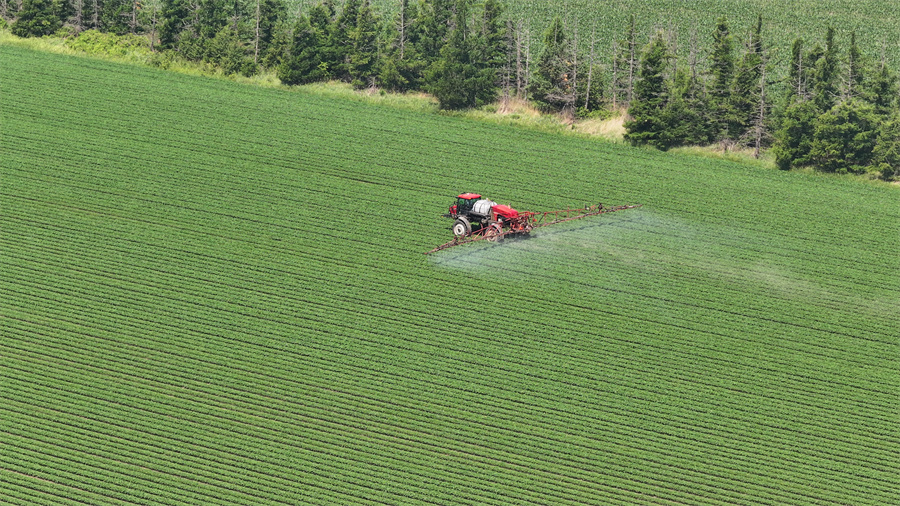 DJI_20250625101534_0051_D.JPG