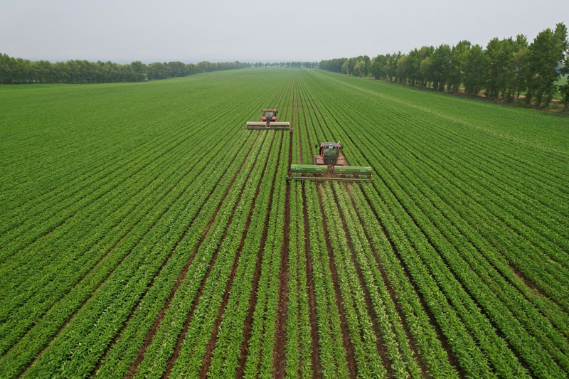 DJI_0856.JPG