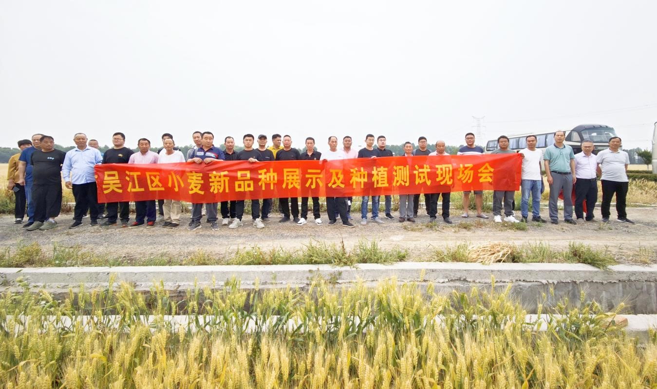 2、“看禾选种”活动现场.jpg