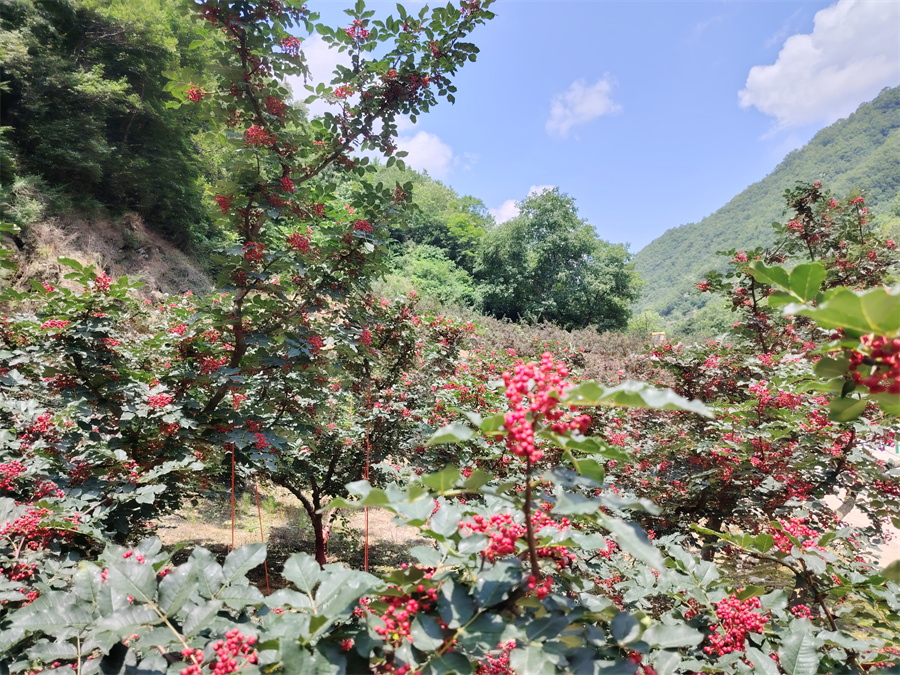 图片1.jpg