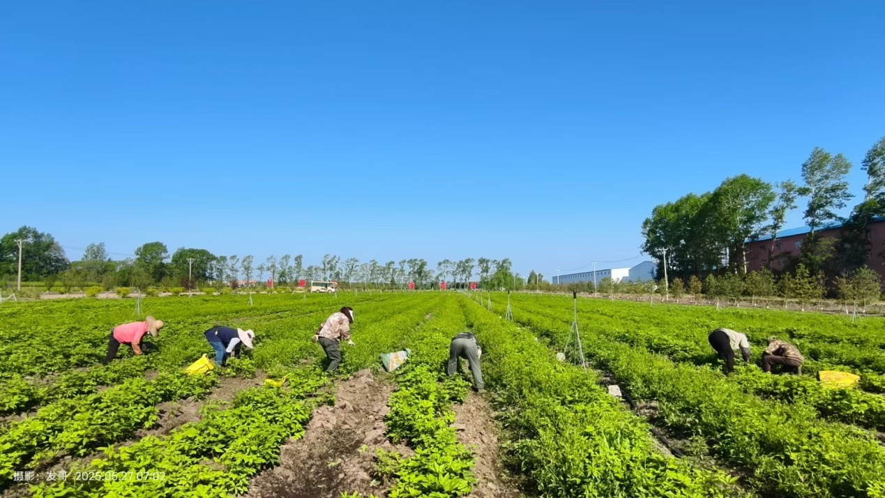 微信图片_2025-07-21_085808_070.png