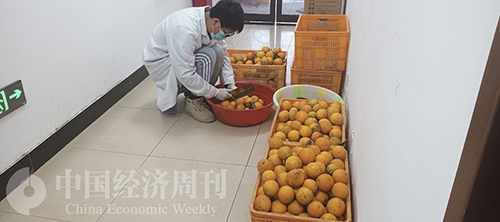 截屏2025-07-23 11.05.57.jpg