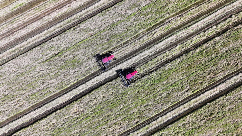 DJI_20250722151231_0363_D.JPG