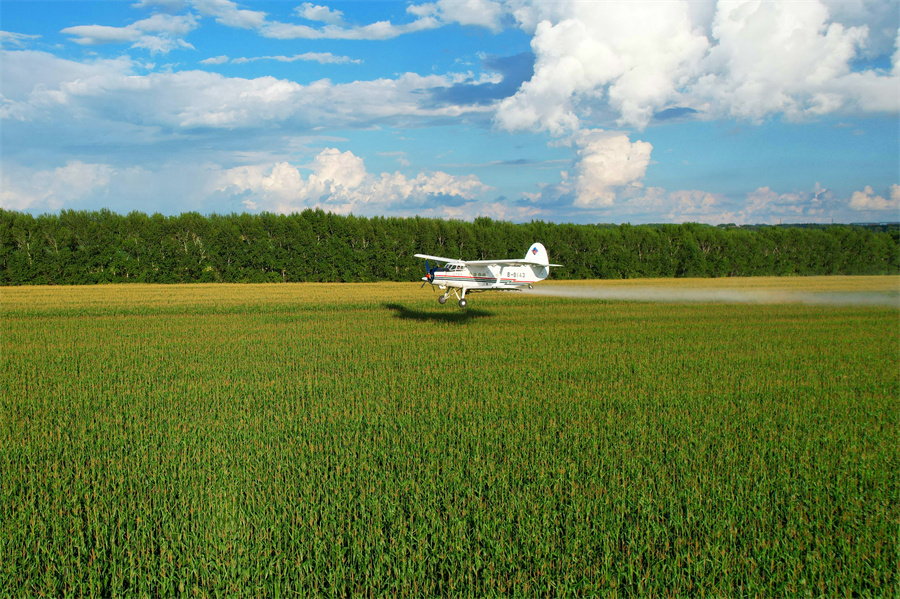DJI_0110.JPG