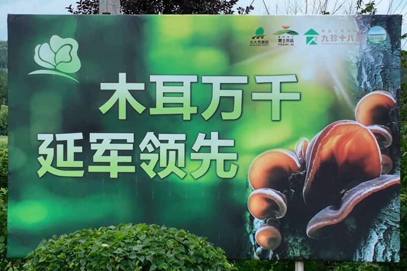 1_副本.jpg