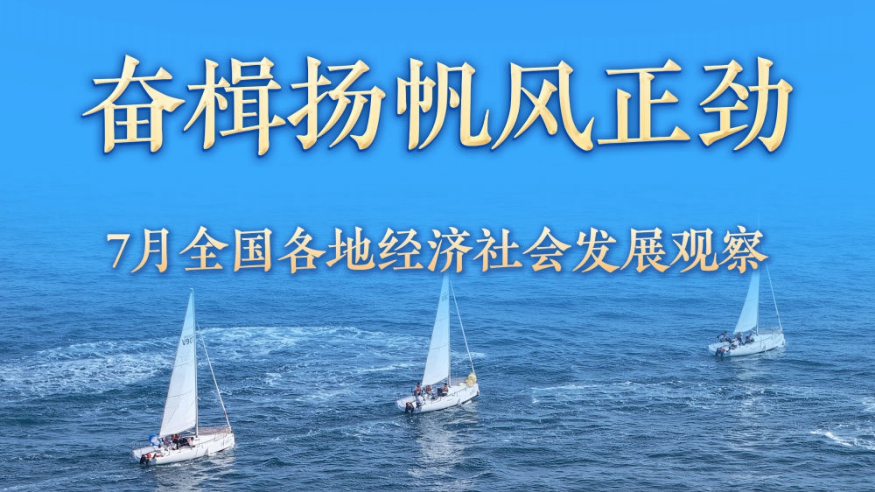 稳中求进每月看丨奋楫扬帆风正劲——7月全国各地经济社会发展观察