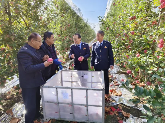 图片2.png