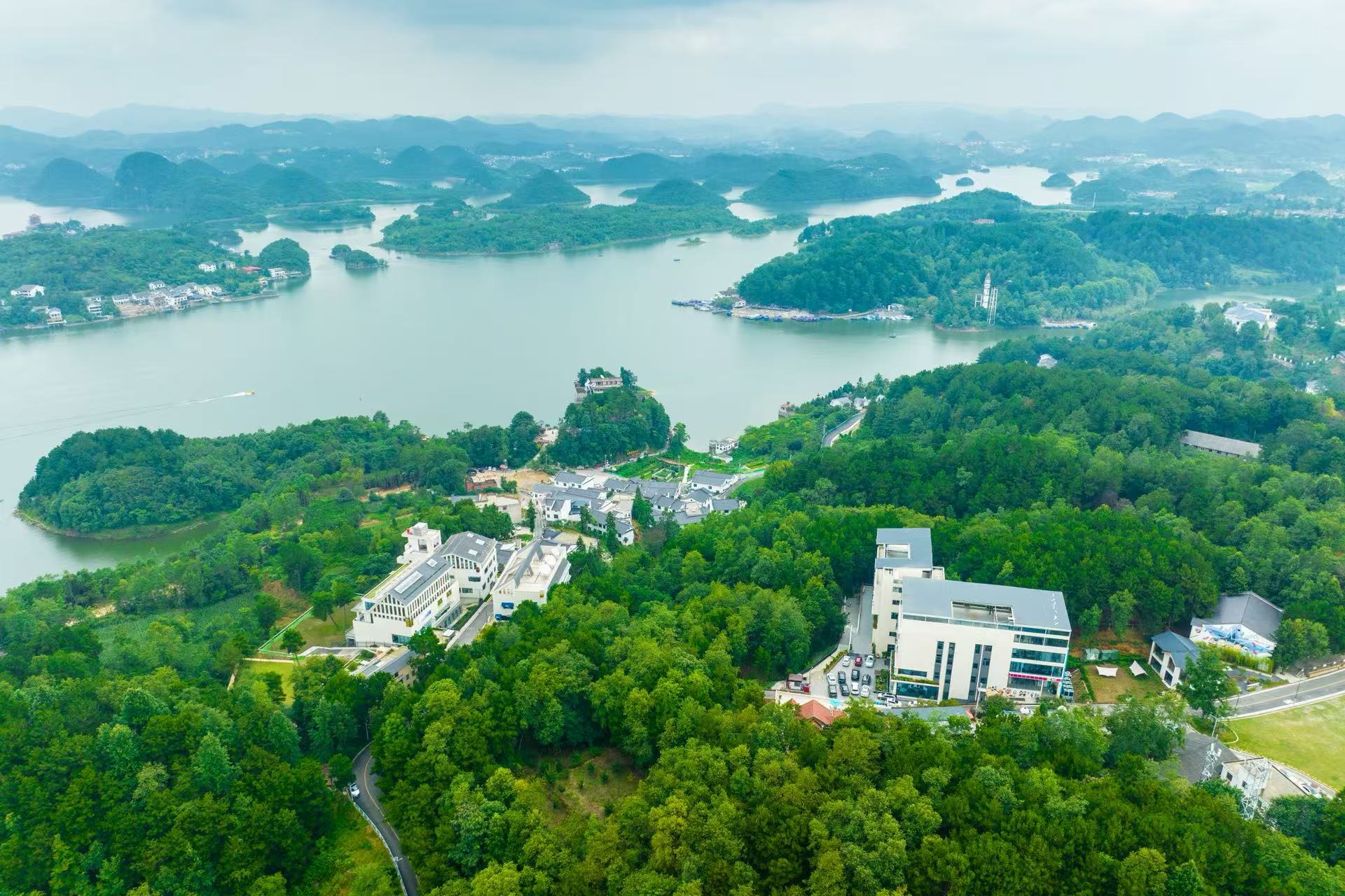 行进中国｜数字画笔绘就乡村新景