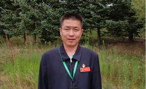 一棵树长成一片林海