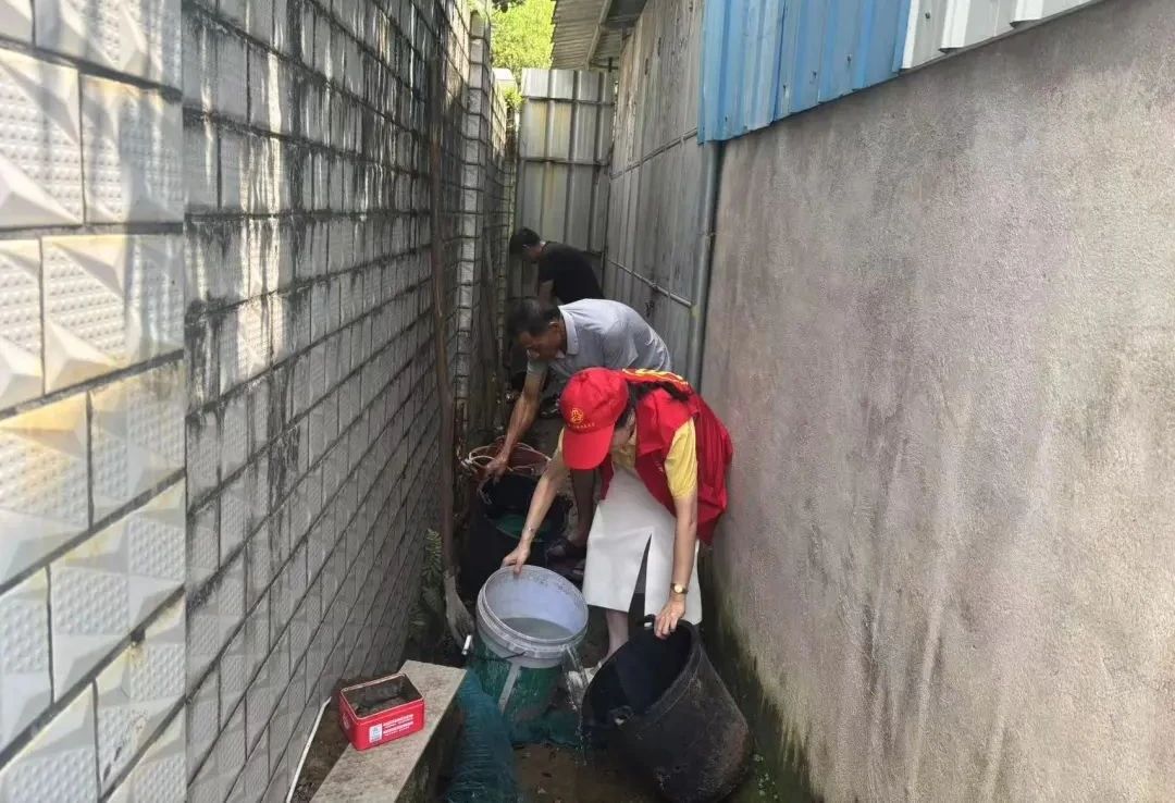 云霄和平：环境整治焕新颜 科学灭蚊护健康.jpg