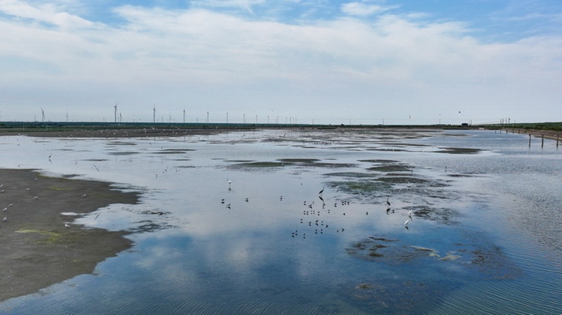 保护修复湿地生态 促进人与自然和谐共生