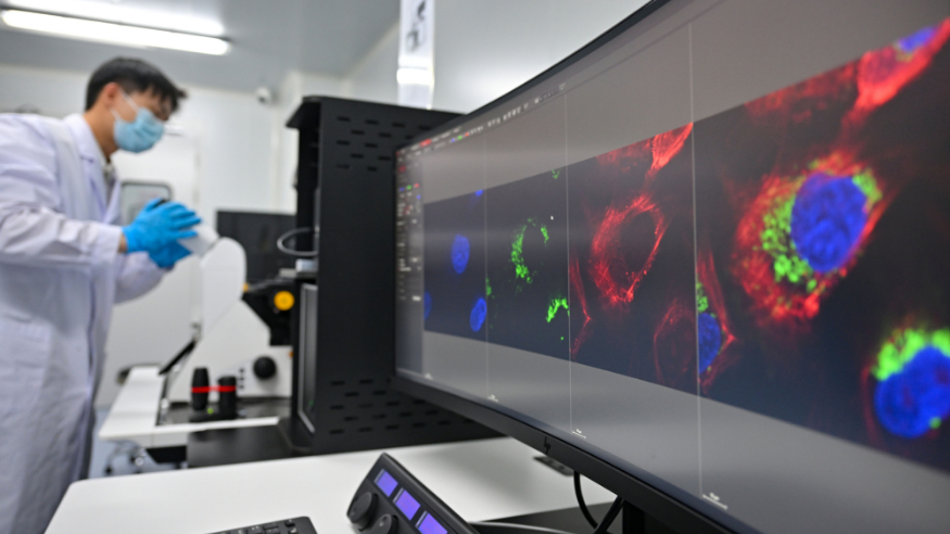海口海关实验室获世界海关组织地区海关实验室认定