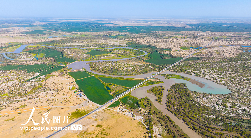 新疆尉犁：水丰林茂 生态环境持续向好