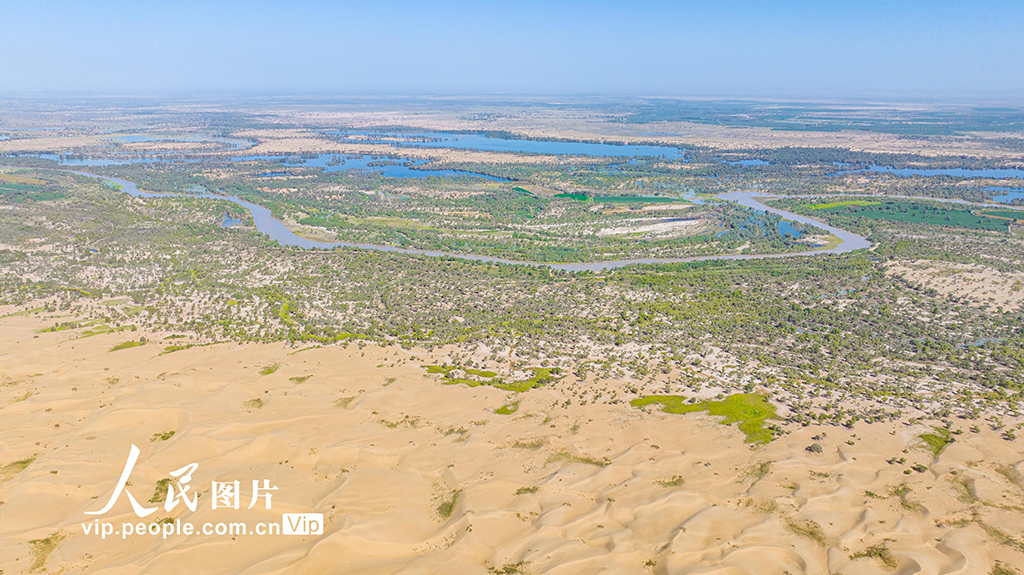 新疆尉犁：水丰林茂 生态环境持续向好【3】