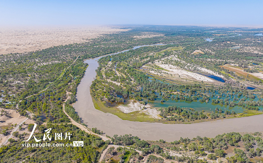 新疆尉犁：水丰林茂 生态环境持续向好【6】