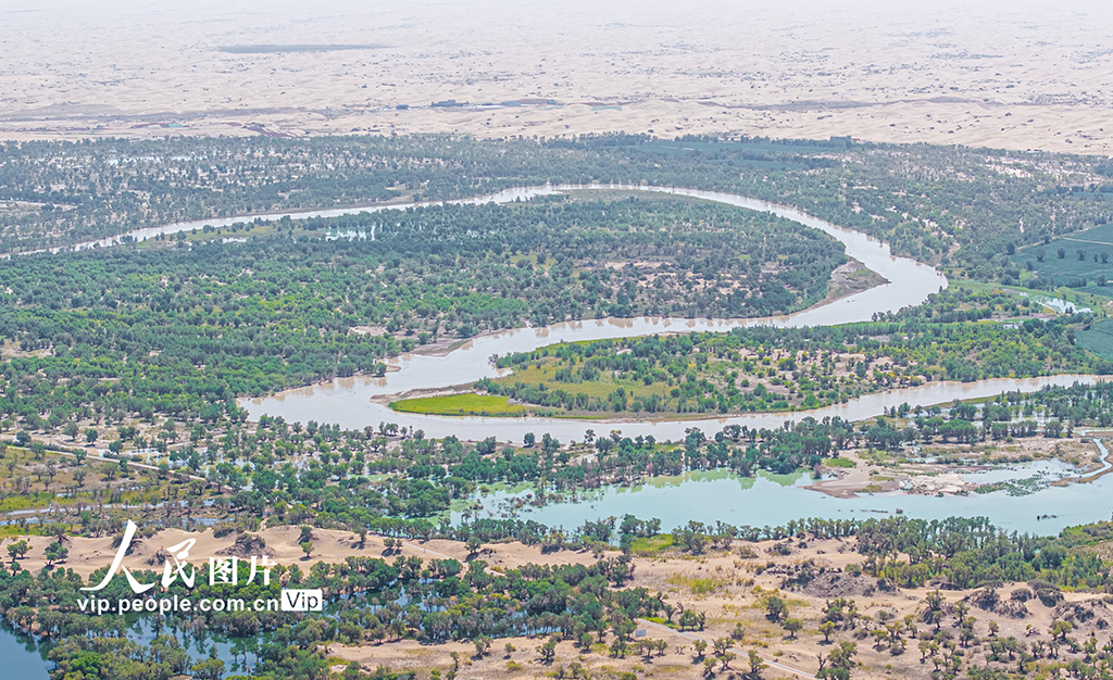 新疆尉犁：水丰林茂 生态环境持续向好【7】