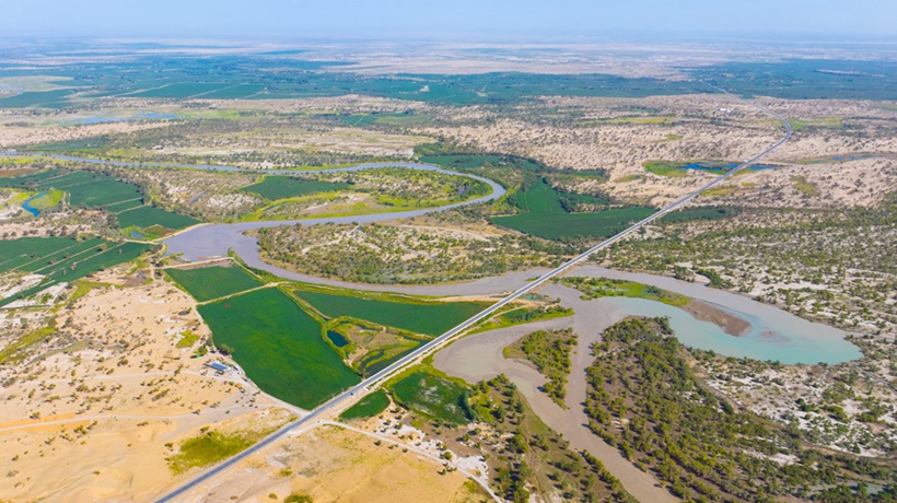 新疆尉犁：水丰林茂 生态环境持续向好