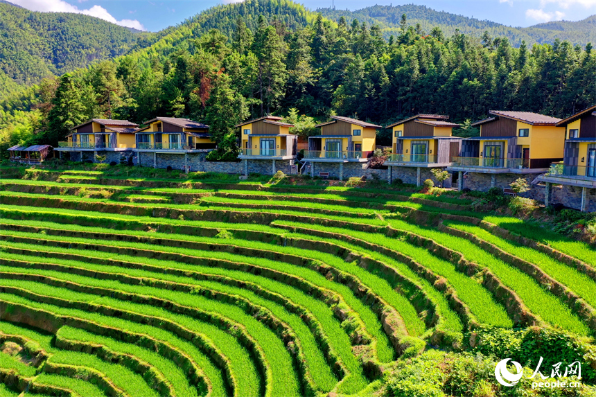 赣州市崇义县上堡乡，层层叠叠的梯田沿山势绵亘蜿蜒，与错落有致的农房、民宿相互映衬。人民网 朱海鹏摄