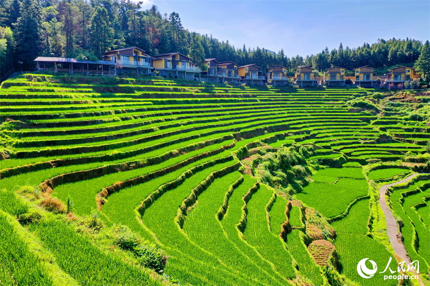 赣州市崇义县上堡乡，层层叠叠的梯田沿山势绵亘蜿蜒，与错落有致的农房、民宿相互映衬。人民网 朱海鹏摄