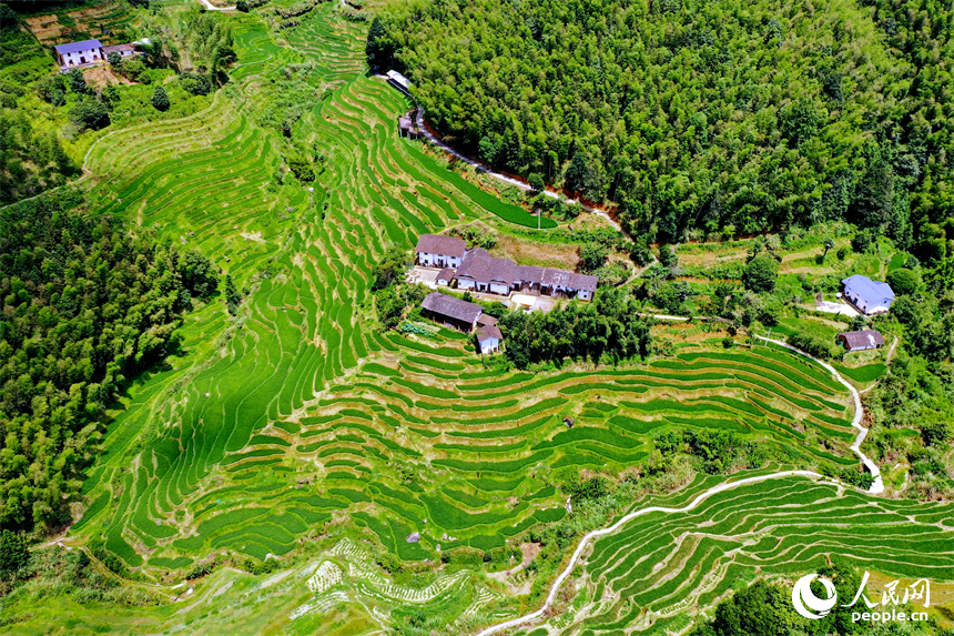赣州市崇义县上堡乡，层层叠叠的梯田沿山势绵亘蜿蜒，与错落有致的农房、民宿相互映衬。人民网 朱海鹏摄