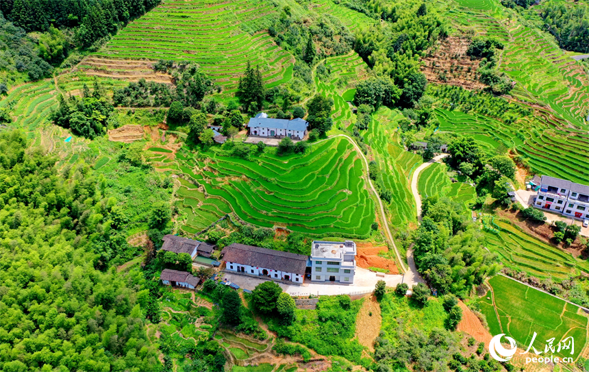 赣州市崇义县上堡乡，层层叠叠的梯田沿山势绵亘蜿蜒，与错落有致的农房、民宿相互映衬。人民网 朱海鹏摄